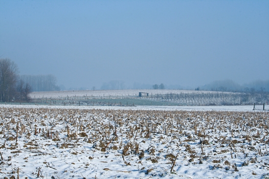 MoorselseWinter.jpg